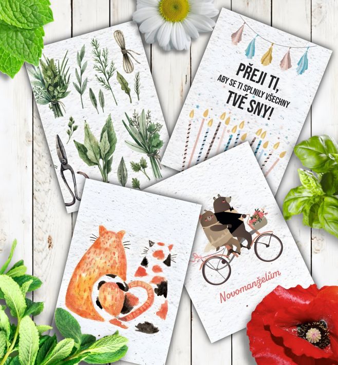 Květiny jsou ideálním dárkem ke každé příležitosti. A co teprve takové, které si obdarovaní můžou vypěstovat z rostoucího...